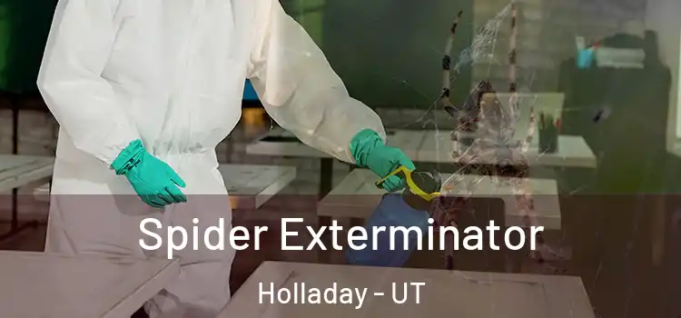  Spider Exterminator Holladay - UT