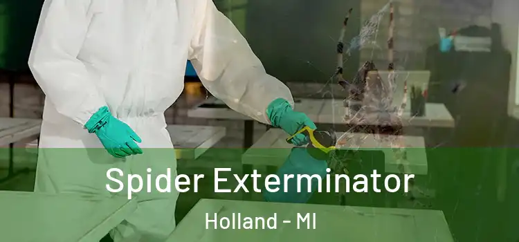  Spider Exterminator Holland - MI
