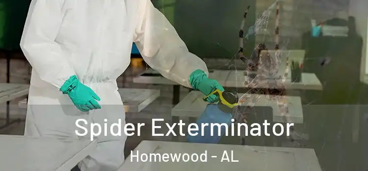  Spider Exterminator Homewood - AL