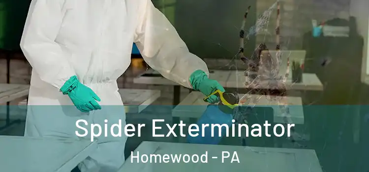  Spider Exterminator Homewood - PA