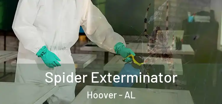  Spider Exterminator Hoover - AL