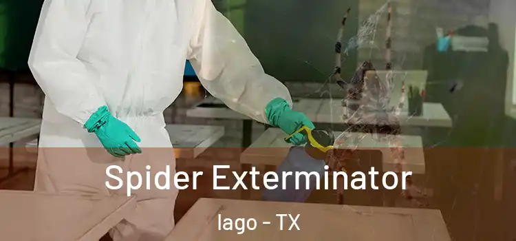  Spider Exterminator Iago - TX