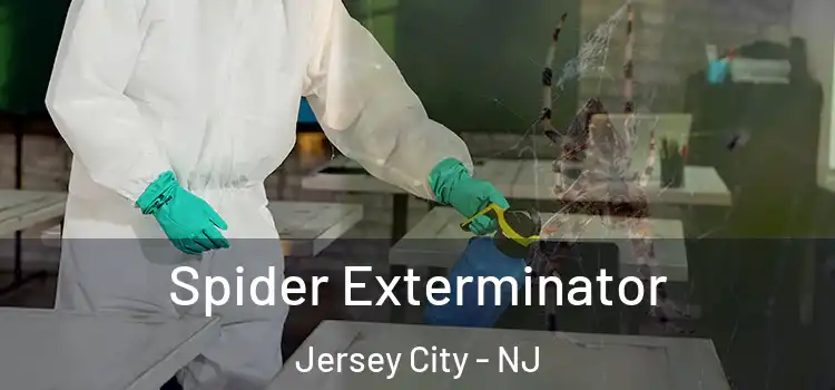  Spider Exterminator Jersey City - NJ