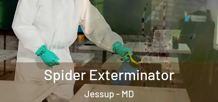  Spider Exterminator Jessup - MD