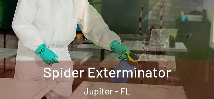 Spider Exterminator Jupiter - FL