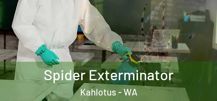  Spider Exterminator Kahlotus - WA