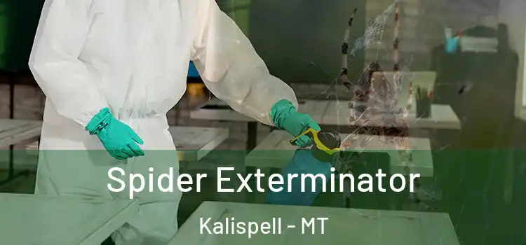  Spider Exterminator Kalispell - MT