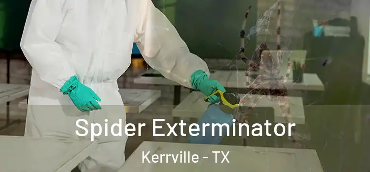  Spider Exterminator Kerrville - TX