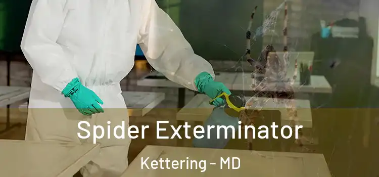 Spider Exterminator Kettering - MD