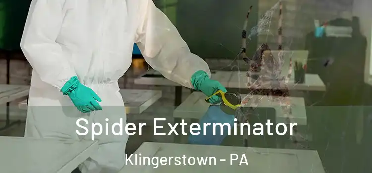  Spider Exterminator Klingerstown - PA