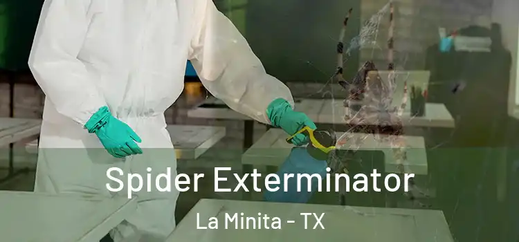 Spider Exterminator La Minita - TX