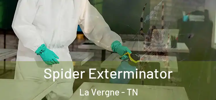  Spider Exterminator La Vergne - TN