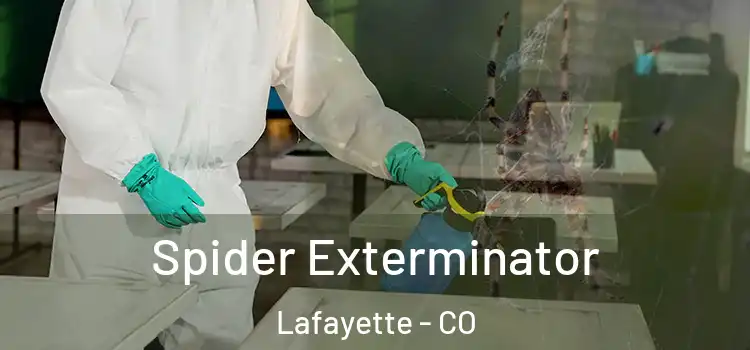  Spider Exterminator Lafayette - CO