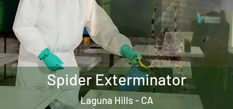  Spider Exterminator Laguna Hills - CA