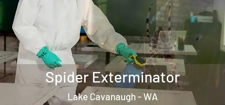  Spider Exterminator Lake Cavanaugh - WA