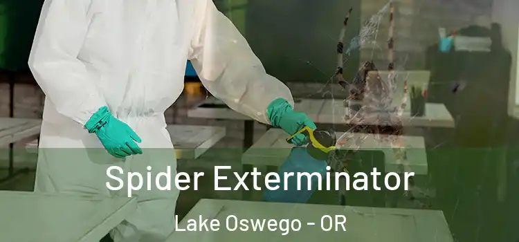  Spider Exterminator Lake Oswego - OR