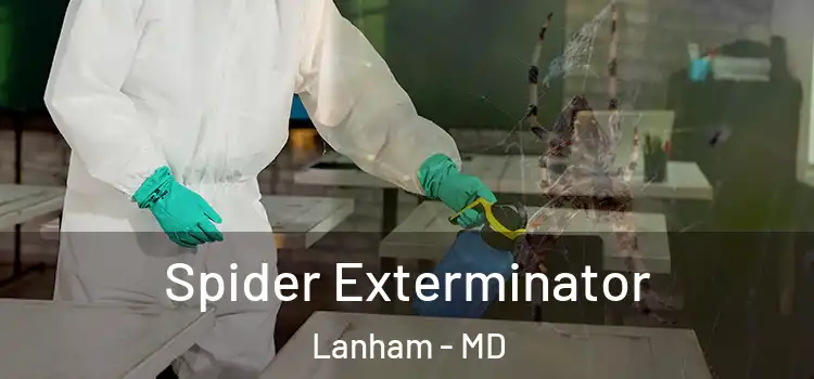 Spider Exterminator Lanham - MD