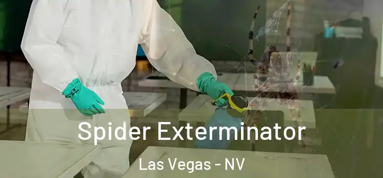  Spider Exterminator Las Vegas - NV