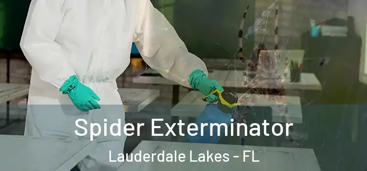 Spider Exterminator Lauderdale Lakes - FL