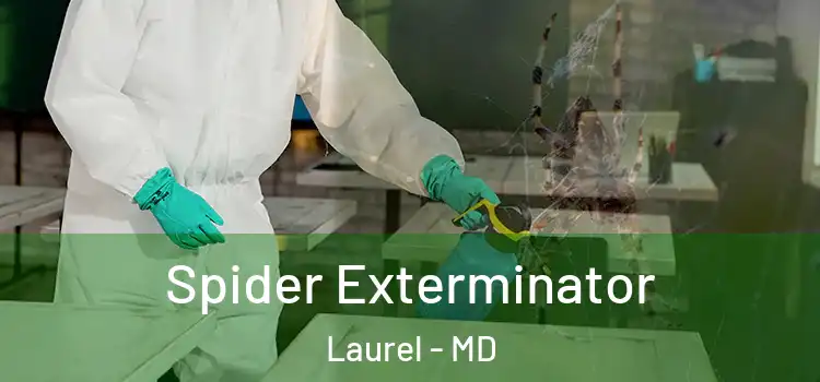  Spider Exterminator Laurel - MD