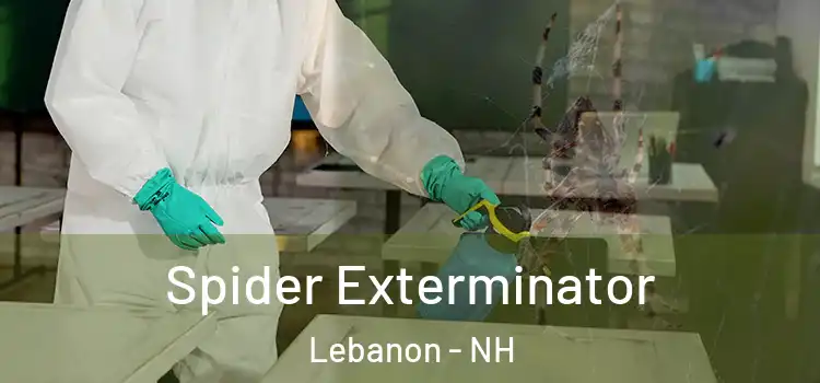  Spider Exterminator Lebanon - NH