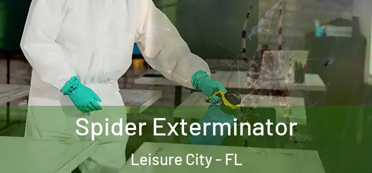 Spider Exterminator Leisure City - FL