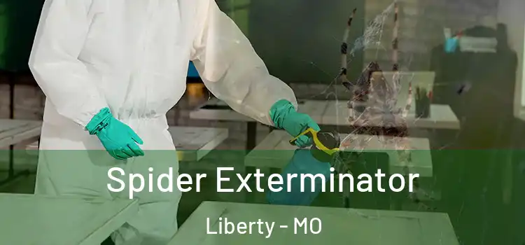  Spider Exterminator Liberty - MO