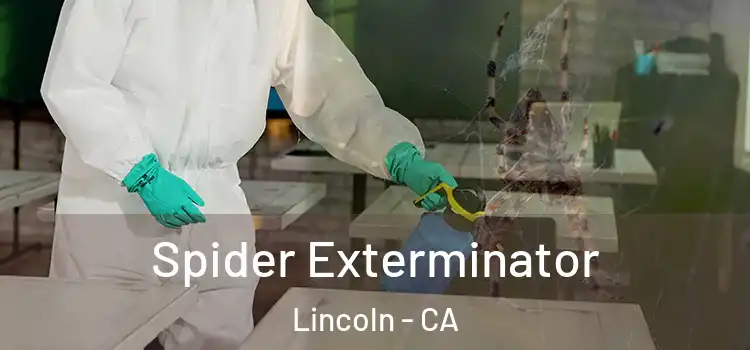 Spider Exterminator Lincoln - CA