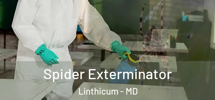 Spider Exterminator Linthicum - MD