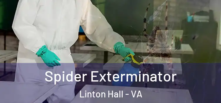 Spider Exterminator Linton Hall - VA