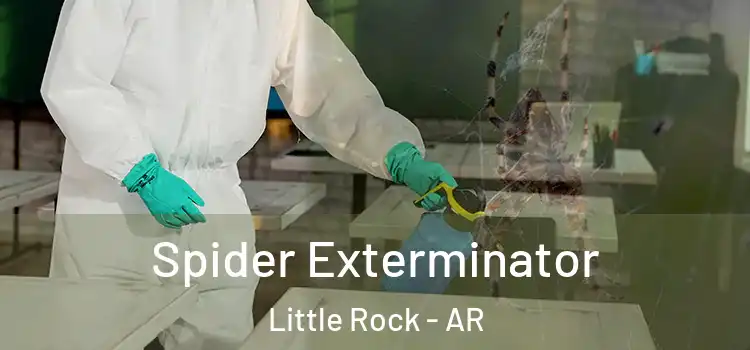  Spider Exterminator Little Rock - AR