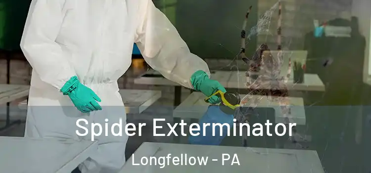  Spider Exterminator Longfellow - PA