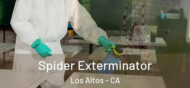  Spider Exterminator Los Altos - CA