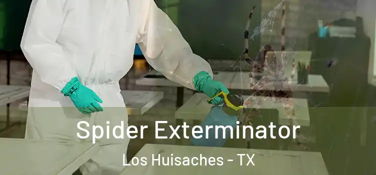  Spider Exterminator Los Huisaches - TX