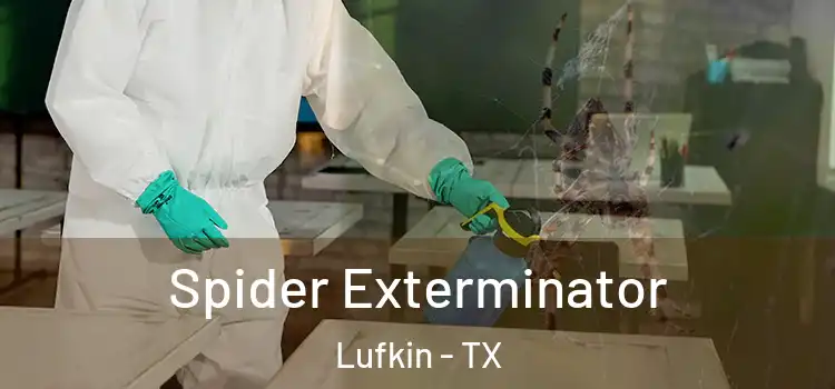  Spider Exterminator Lufkin - TX