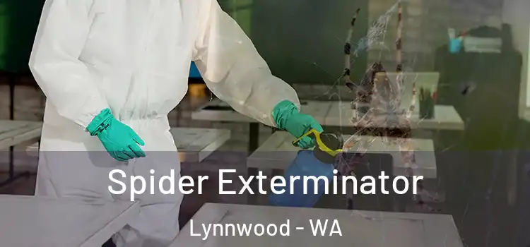  Spider Exterminator Lynnwood - WA