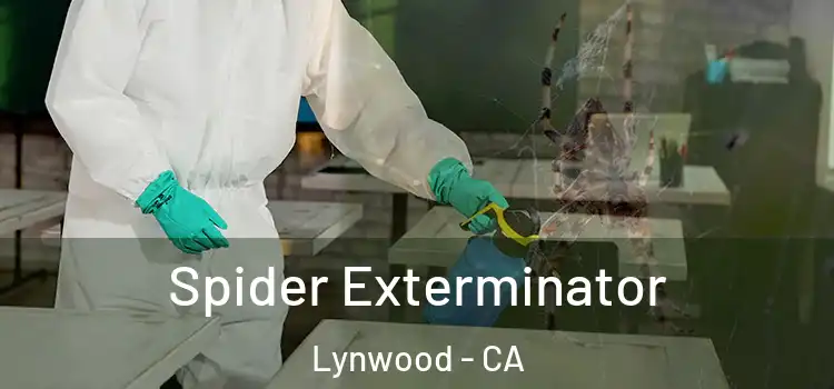 Spider Exterminator Lynwood - CA