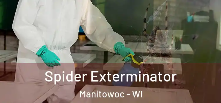  Spider Exterminator Manitowoc - WI