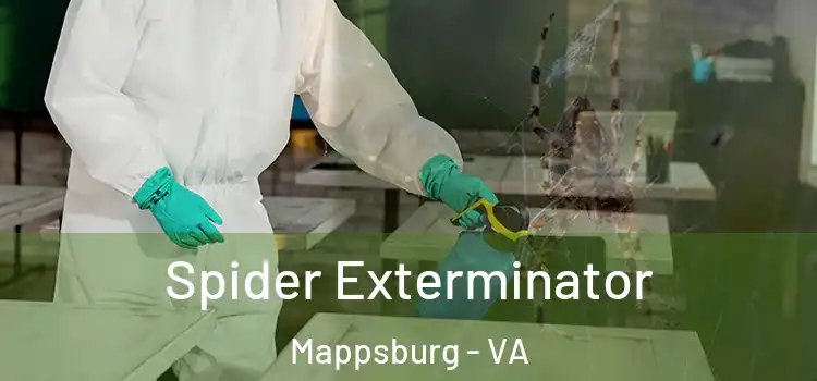 Spider Exterminator Mappsburg - VA