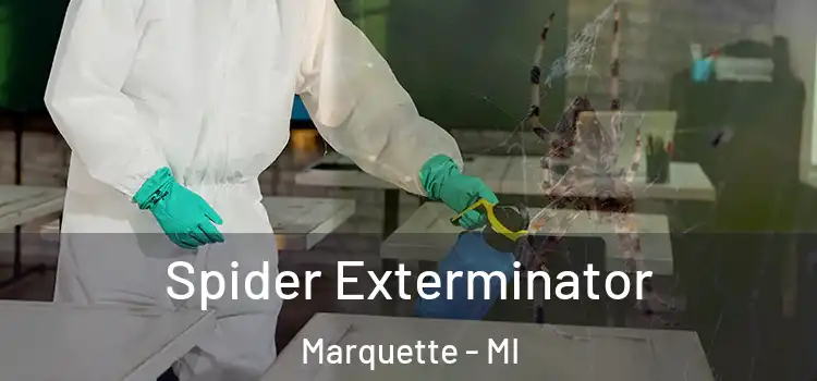  Spider Exterminator Marquette - MI