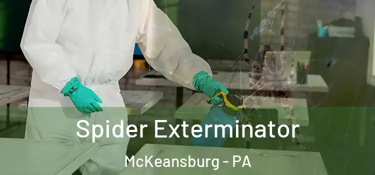  Spider Exterminator McKeansburg - PA