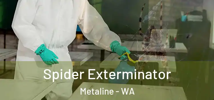  Spider Exterminator Metaline - WA