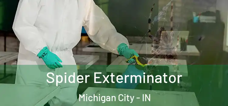  Spider Exterminator Michigan City - IN
