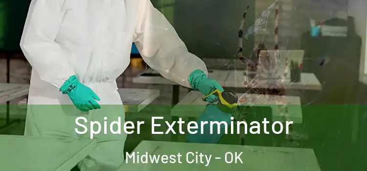  Spider Exterminator Midwest City - OK