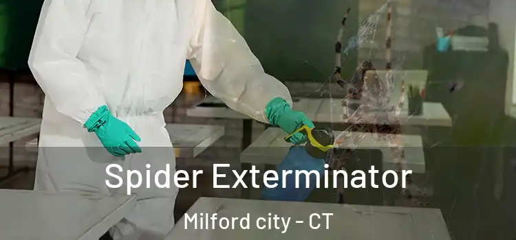  Spider Exterminator Milford city - CT