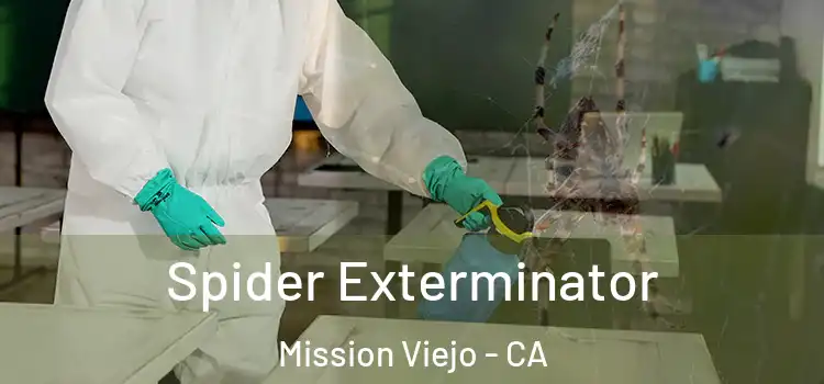  Spider Exterminator Mission Viejo - CA