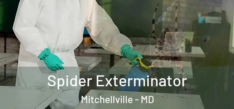 Spider Exterminator Mitchellville - MD
