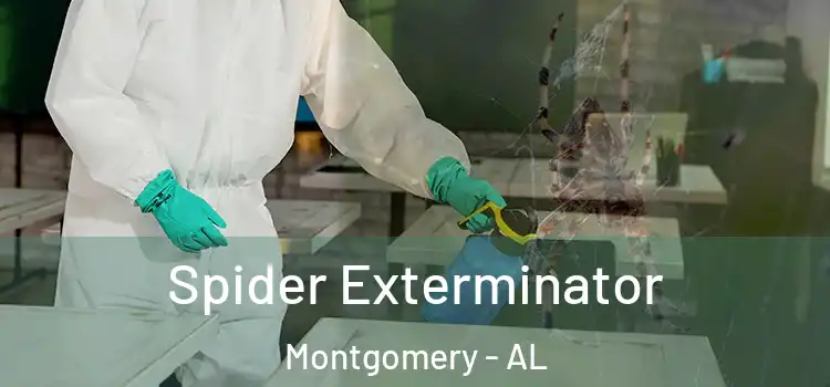  Spider Exterminator Montgomery - AL