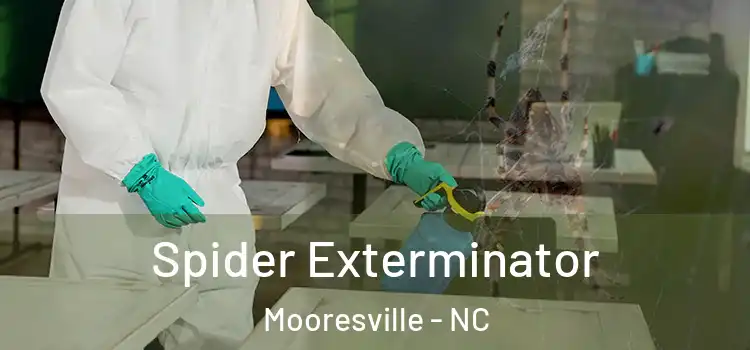  Spider Exterminator Mooresville - NC