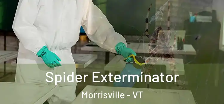  Spider Exterminator Morrisville - VT